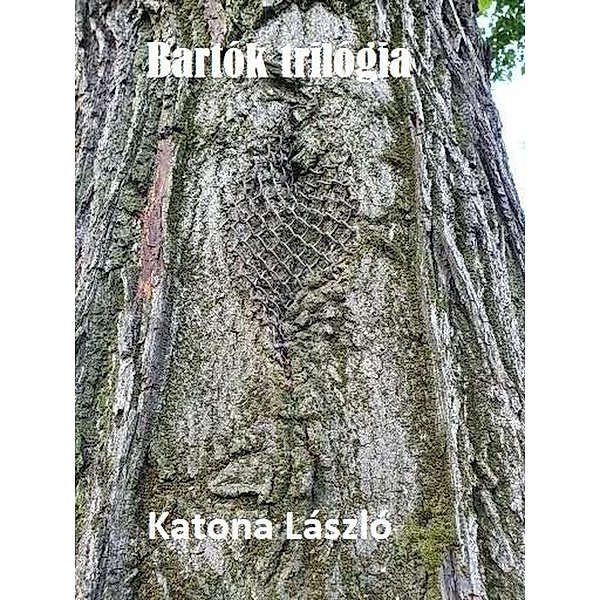 Bartok trilogia, Laszlo Katona