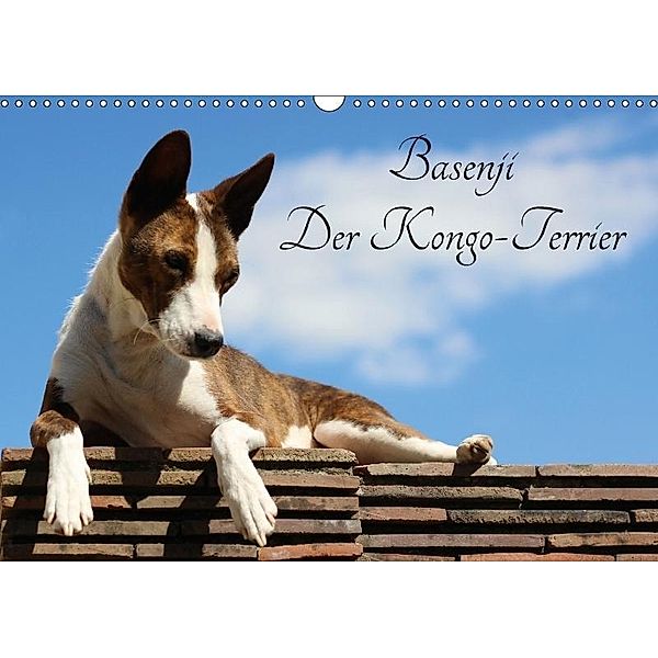 Basenji, der Kongo-Terrier (Wandkalender 2017 DIN A3 quer), Petra Wobst