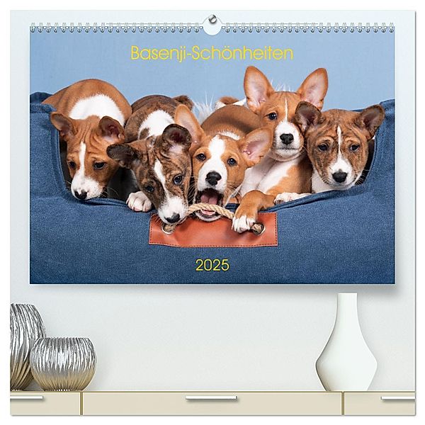 Basenji-Schönheiten (hochwertiger Premium Wandkalender 2025 DIN A2 quer), Kunstdruck in Hochglanz, Calvendo, Angelika Joswig