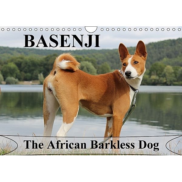 Basenji the African Barkless Dog (Wall Calendar 2018 DIN A4 Landscape), Petra WOBST