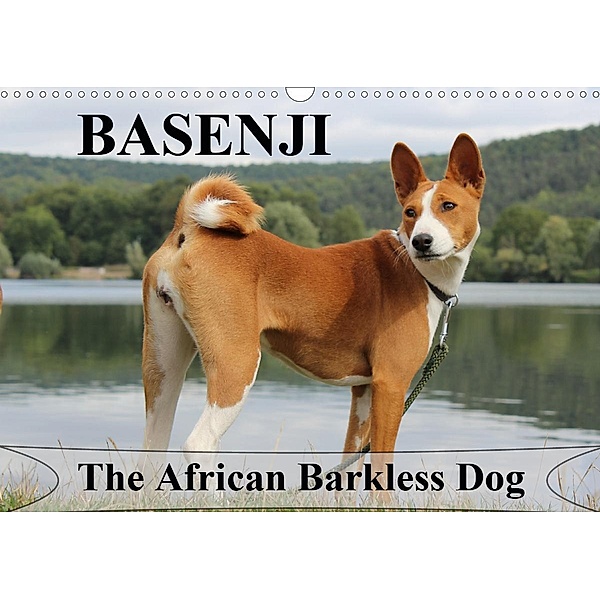 Basenji the African Barkless Dog (Wall Calendar 2021 DIN A3 Landscape), Petra WOBST