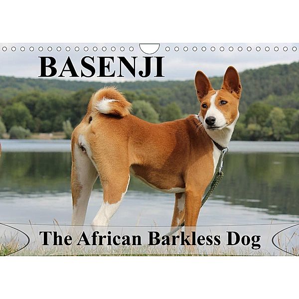 Basenji the African Barkless Dog (Wall Calendar 2023 DIN A4 Landscape), Petra Wobst