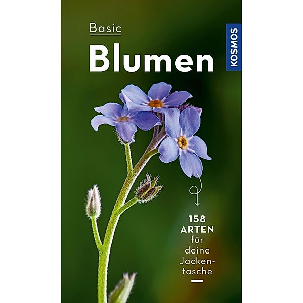 BASIC Blumen, Eva-Maria Dreyer