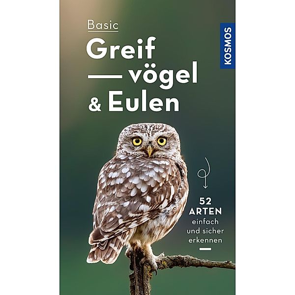 Basic Eulen Greifvögel / Kosmos-Naturführer Basics, Volker Dierschke