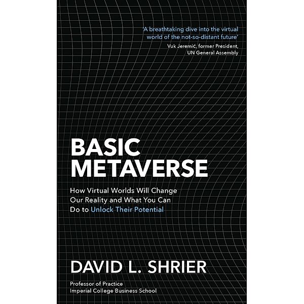 Basic Metaverse, David Shrier