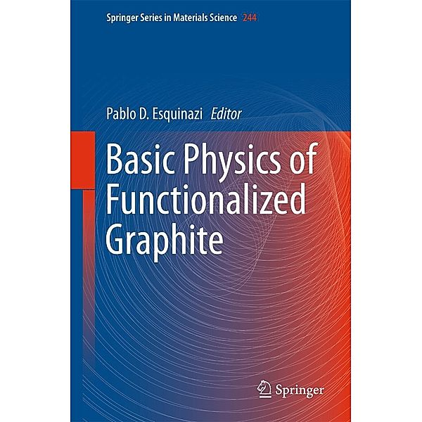 Basic Physics of Functionalized Graphite / Springer Series in Materials Science Bd.244