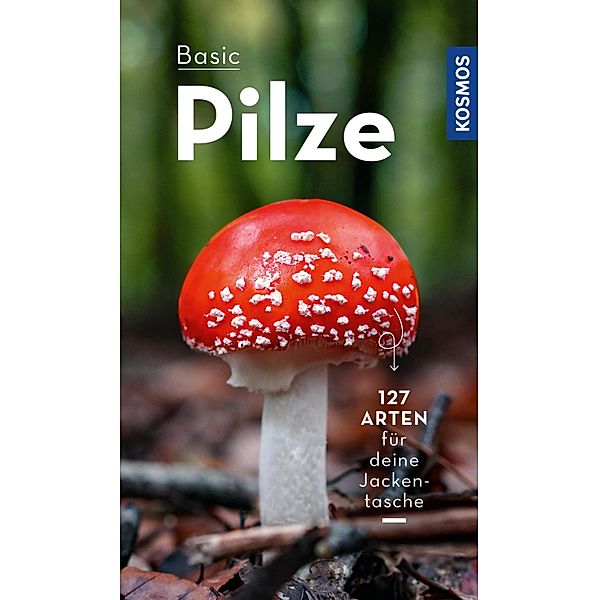 BASIC Pilze, Markus Flück