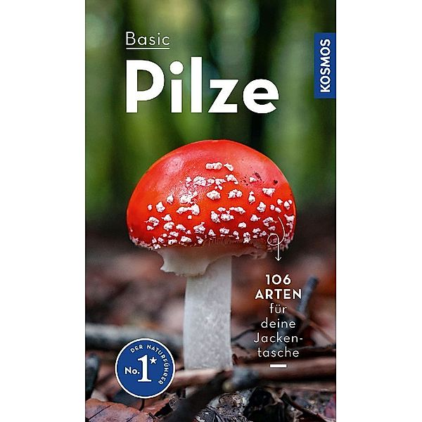 BASIC Pilze, Markus Flück