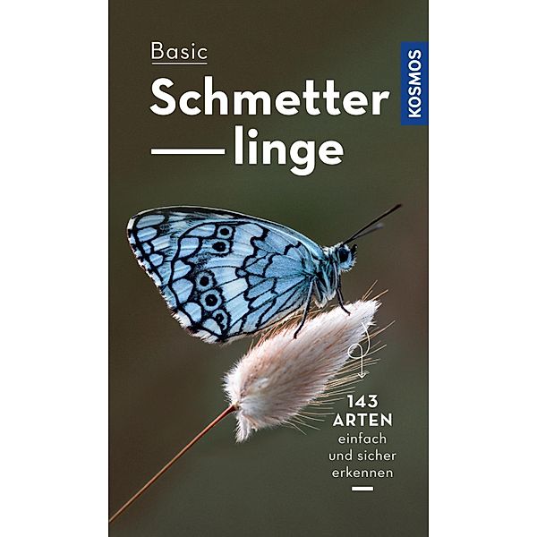 Basic Schmetterlinge, Eva-Maria Dreyer