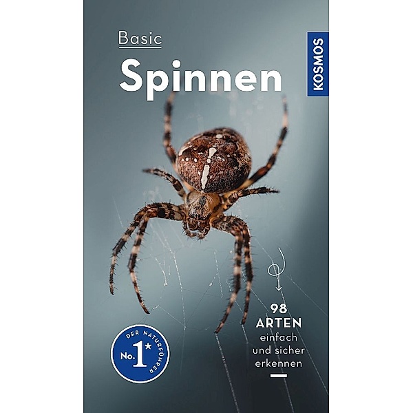 Basic Spinnen, Lars Wilker