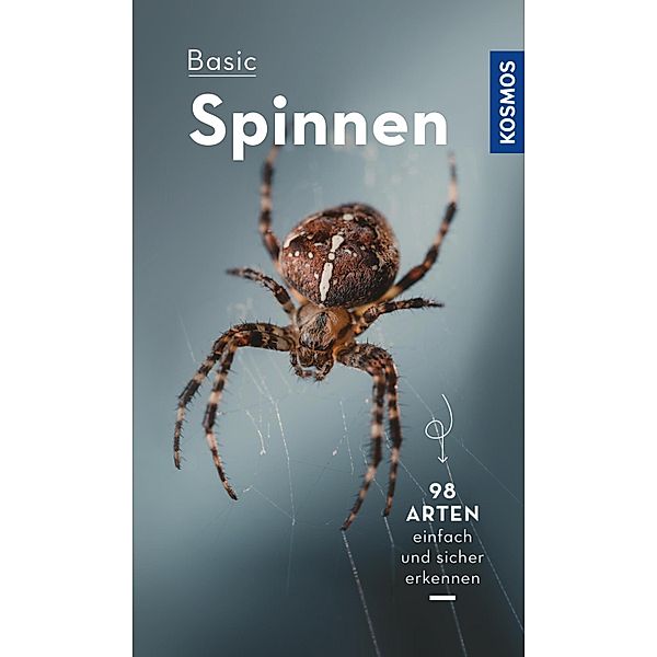 Basic Spinnen / Kosmos-Naturführer Basics, Lars Wilker