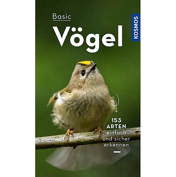 BASIC Vögel, Volker Dierschke
