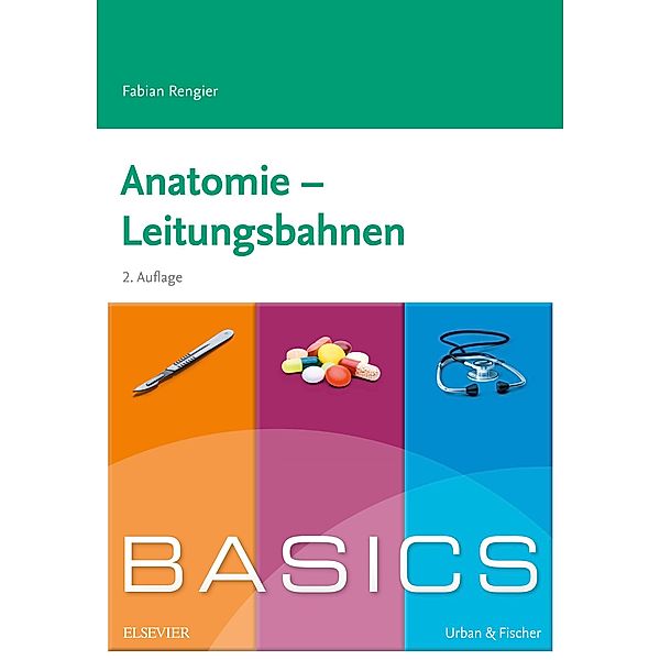 BASICS Anatomie - Leitungsbahnen / BASICS, Fabian Rengier