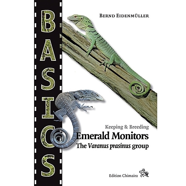 BASICS / Emerald Monitors, Bernd Eidenmüller