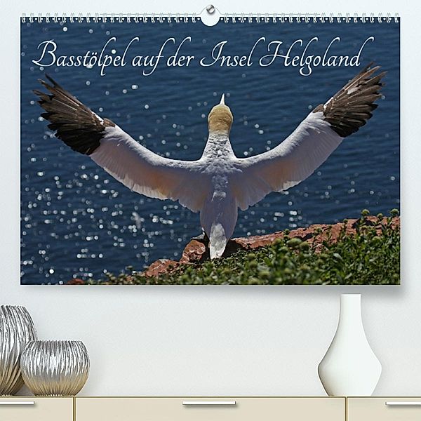 Basstölpel auf der Insel Helgoland (Premium, hochwertiger DIN A2 Wandkalender 2020, Kunstdruck in Hochglanz), Klaus Konieczka