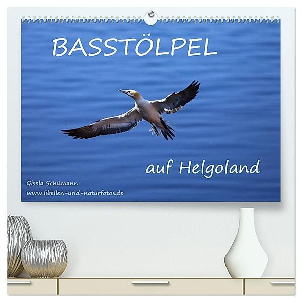 Basstölpel auf Helgoland (hochwertiger Premium Wandkalender 2024 DIN A2 quer), Kunstdruck in Hochglanz, Gisela Schümann