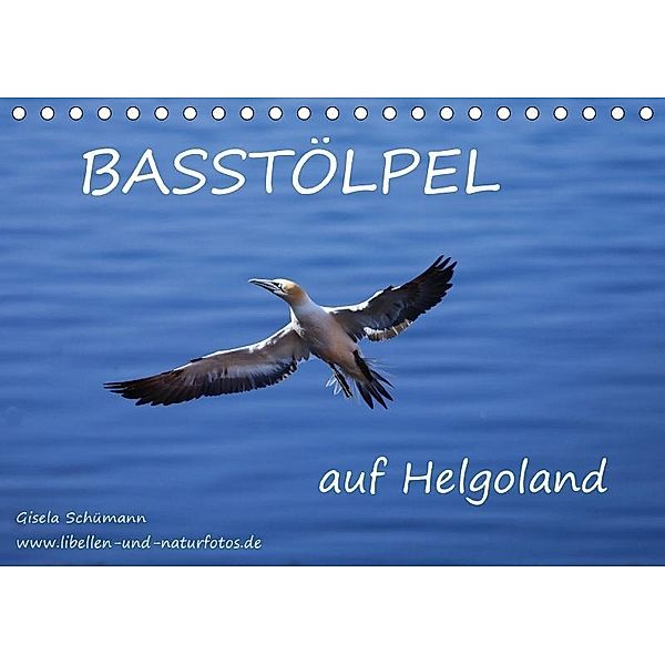 Basstölpel auf Helgoland (Tischkalender 2017 DIN A5 quer), Gisela Schümann