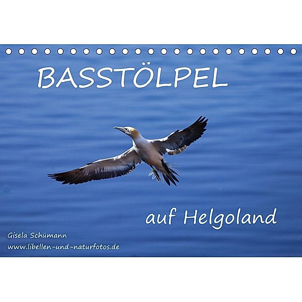 Basstölpel auf Helgoland (Tischkalender 2021 DIN A5 quer), Gisela Schümann