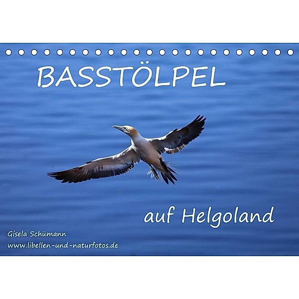 Basstölpel auf Helgoland (Tischkalender 2023 DIN A5 quer), Gisela Schümann