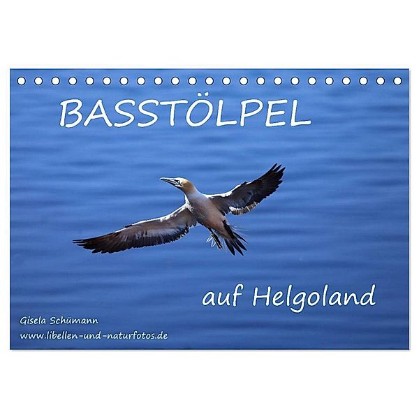 Basstölpel auf Helgoland (Tischkalender 2024 DIN A5 quer), CALVENDO Monatskalender, Gisela Schümann