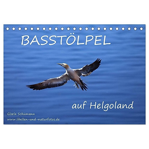 Basstölpel auf Helgoland (Tischkalender 2025 DIN A5 quer), CALVENDO Monatskalender, Calvendo, Gisela Schümann
