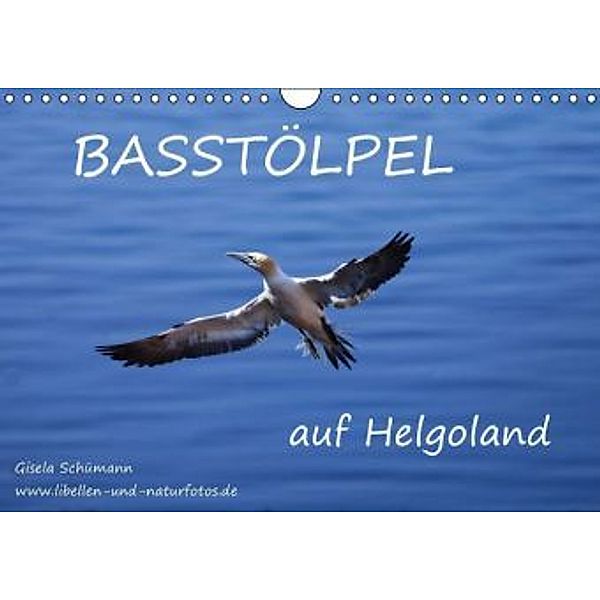 Basstölpel auf Helgoland (Wandkalender 2015 DIN A4 quer), Gisela Schümann