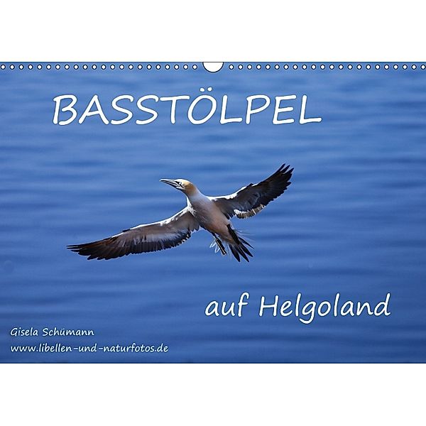 Basstölpel auf Helgoland (Wandkalender 2018 DIN A3 quer), Gisela Schümann