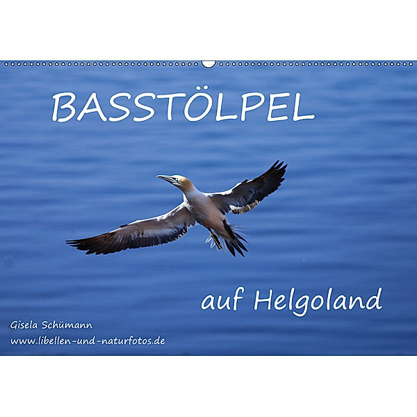 Basstölpel auf Helgoland (Wandkalender 2019 DIN A2 quer), Gisela Schümann