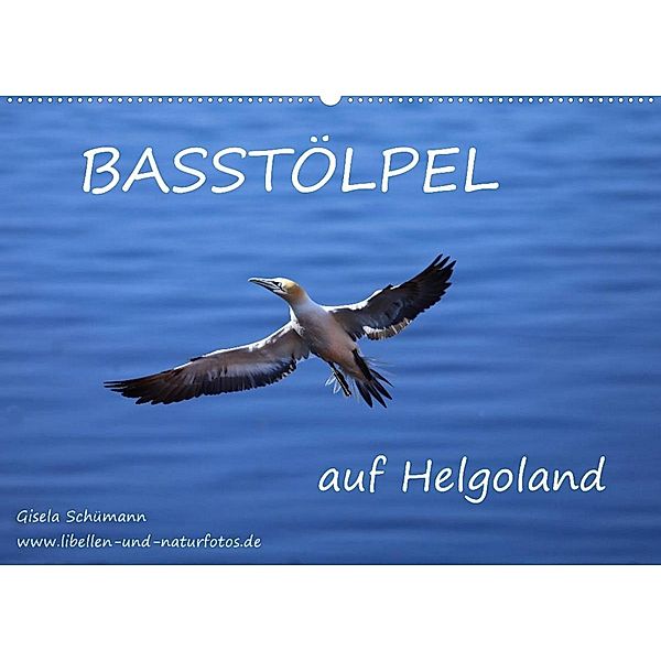Basstölpel auf Helgoland (Wandkalender 2023 DIN A2 quer), Gisela Schümann