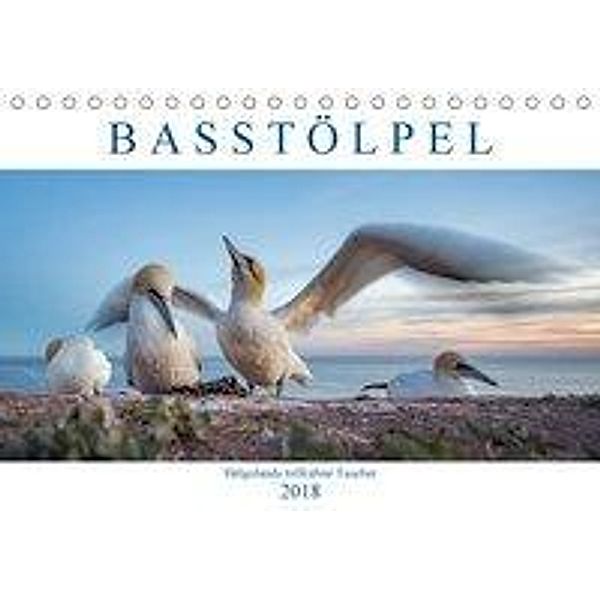 Basstölpel - Helgolands tollkühne Taucher (Tischkalender 2018 DIN A5 quer), Norman Preißler