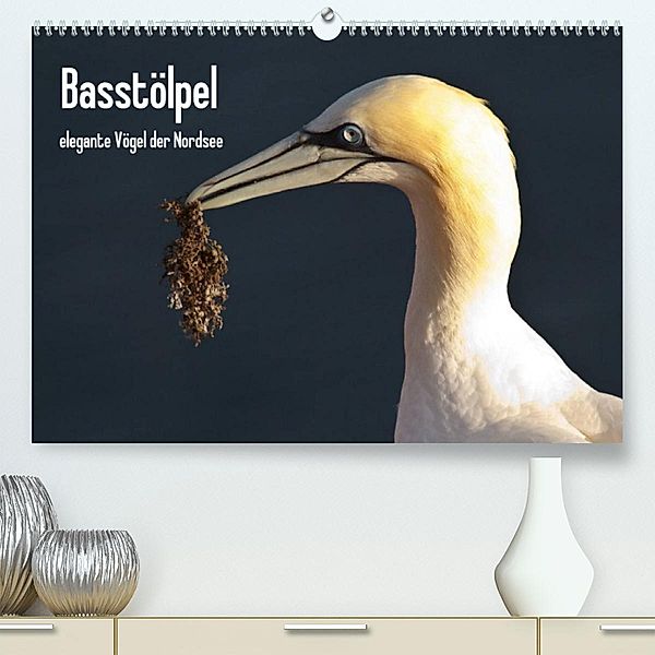 Basstölpel (Premium, hochwertiger DIN A2 Wandkalender 2023, Kunstdruck in Hochglanz), Leon Uppena