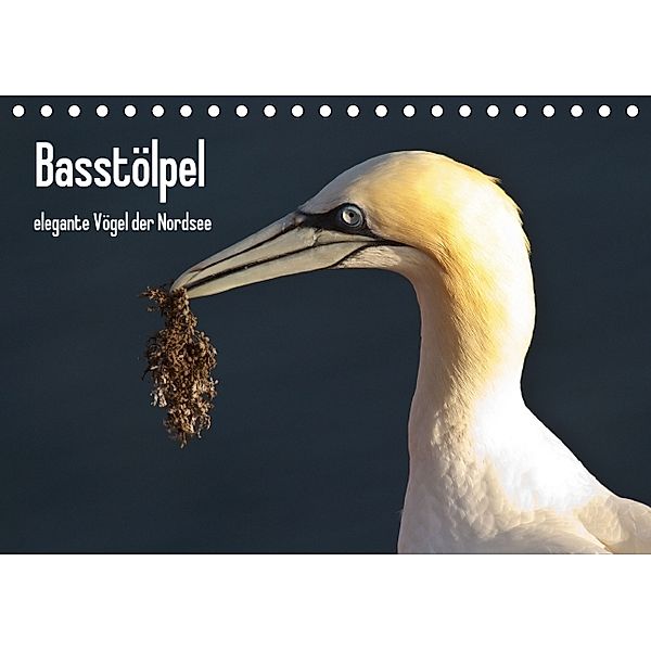 Basstölpel (Tischkalender 2014 DIN A5 quer), Leon Uppena