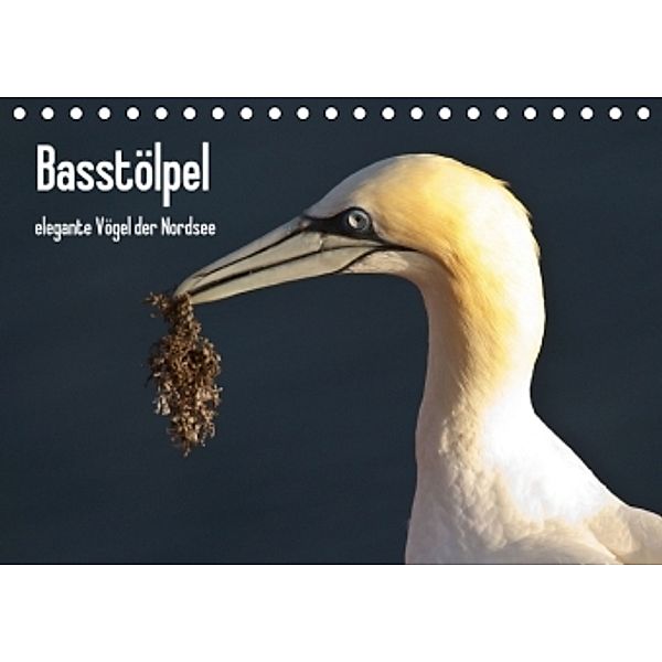 Basstölpel (Tischkalender 2015 DIN A5 quer), Leon Uppena