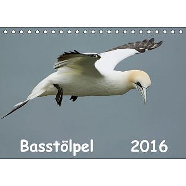 Basstölpel (Tischkalender 2016 DIN A5 quer), Gerald Wolf