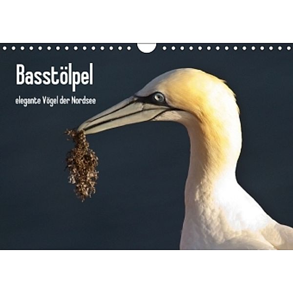 Basstölpel (Wandkalender 2015 DIN A4 quer), Leon Uppena