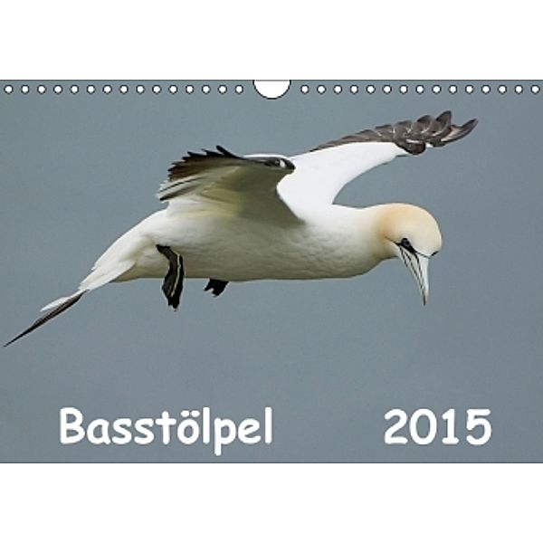 Basstölpel (Wandkalender 2015 DIN A4 quer), Gerald Wolf