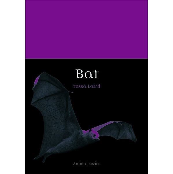 Bat / Animal, Laird Tessa Laird