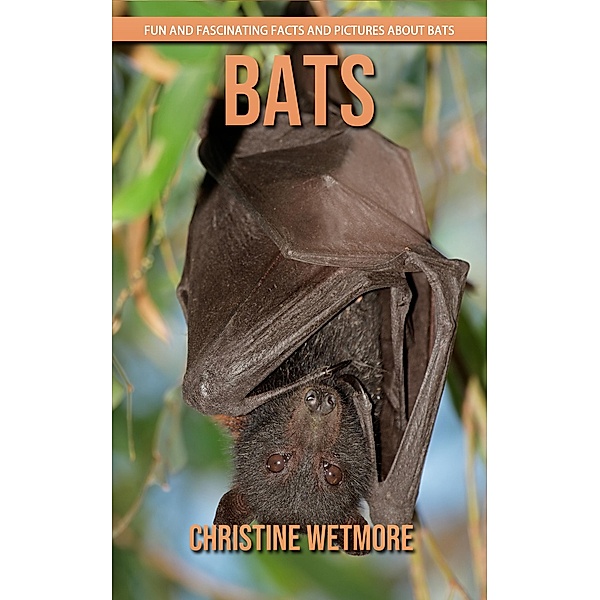 Bats - Fun and Fascinating Facts and Pictures About Bats, Christine Wetmore