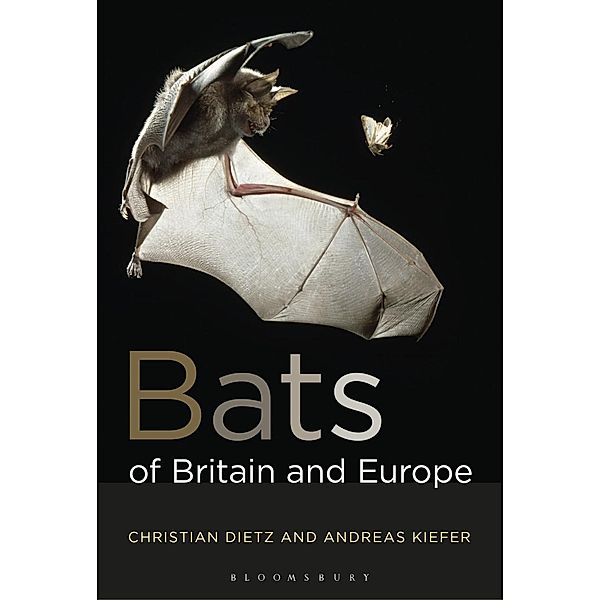 Bats of Britain and Europe, Christian Dietz, Andreas Kiefer