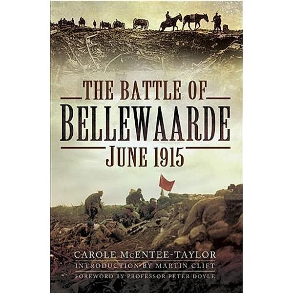 Battle of Bellewaarde, June 1915, Carole McEntee-Taylor