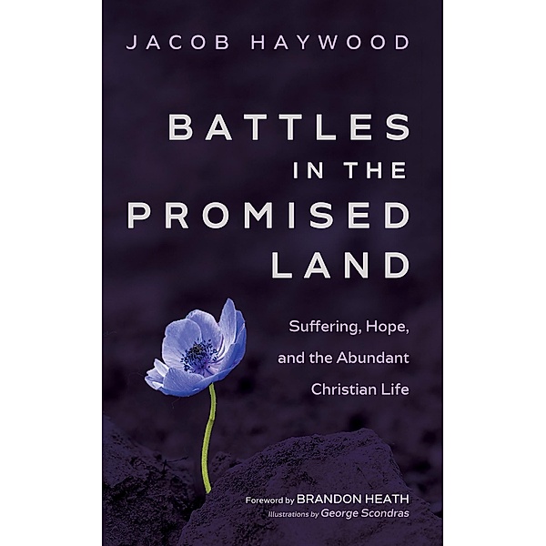 Battles in the Promised Land, Jacob Haywood