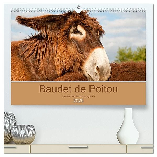 Baudet de Poitou - Seltene französische Langohren (hochwertiger Premium Wandkalender 2025 DIN A2 quer), Kunstdruck in Hochglanz, Calvendo, Meike Bölts