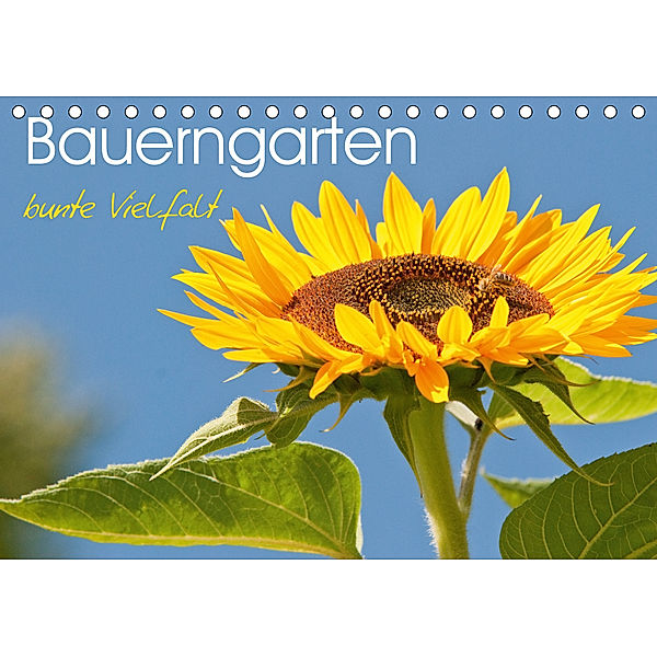 Bauerngarten - bunte Vielfalt (Tischkalender 2020 DIN A5 quer), Meike Bölts