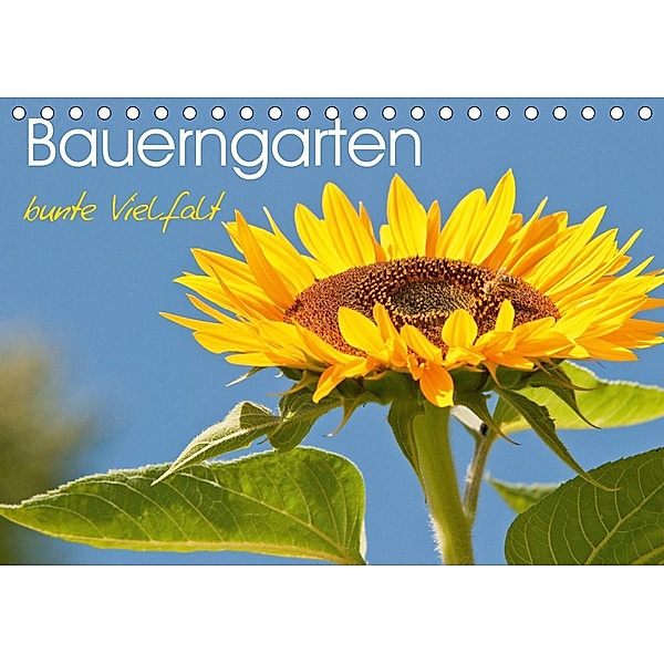 Bauerngarten - bunte Vielfalt (Tischkalender 2021 DIN A5 quer), Meike Bölts
