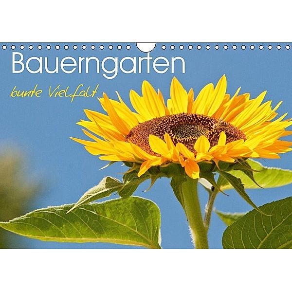 Bauerngarten - bunte Vielfalt (Wandkalender 2017 DIN A4 quer), Meike Bölts