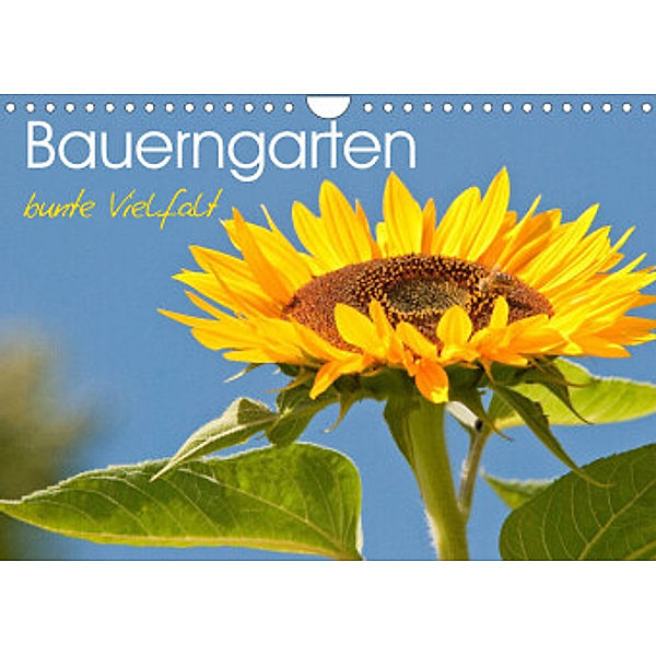 Bauerngarten - bunte Vielfalt (Wandkalender 2022 DIN A4 quer), Meike Bölts