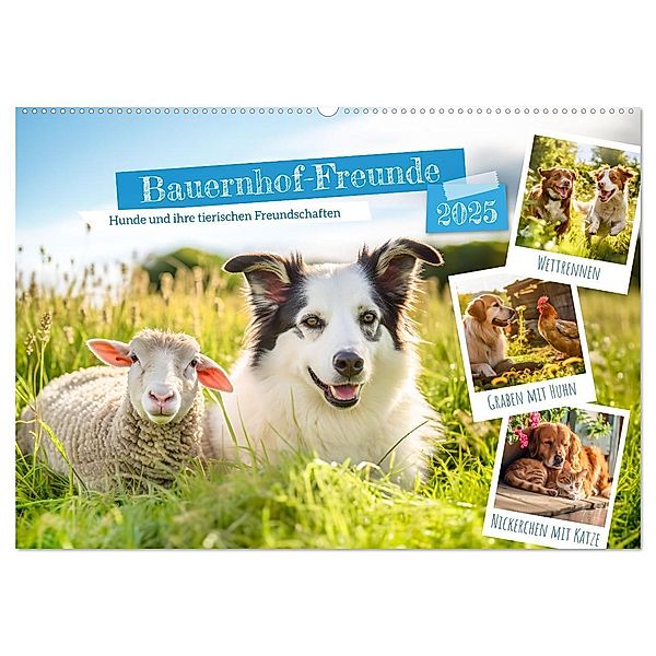 Bauernhof-Freunde - Hunde und ihre tierischen Freundschaften (Wandkalender 2025 DIN A2 quer), CALVENDO Monatskalender, Calvendo, Anja Frost