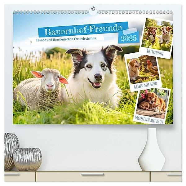 Bauernhof-Freunde - Hunde und ihre tierischen Freundschaften (hochwertiger Premium Wandkalender 2025 DIN A2 quer), Kunstdruck in Hochglanz, Calvendo, Anja Frost