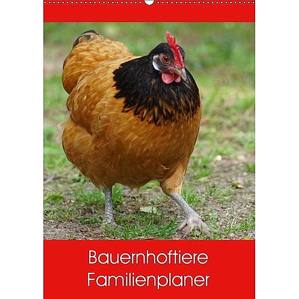 Bauernhoftiere Familienplaner (Wandkalender 2019 DIN A2 hoch), kattobello