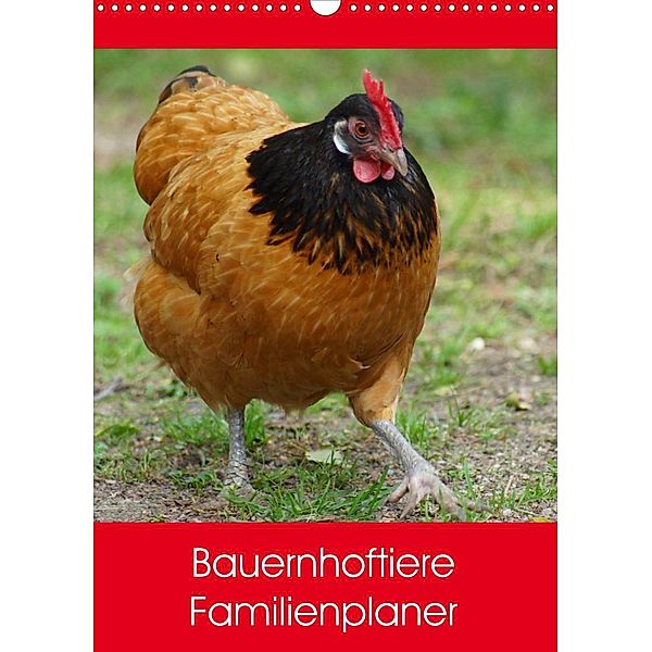 Bauernhoftiere Familienplaner (Wandkalender 2023 DIN A3 hoch), Kattobello